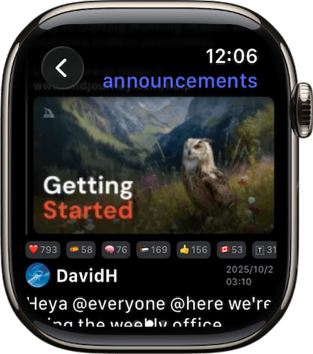 send Discord messages from apple watch, supporting text, audio, photo, emoji and quick reply